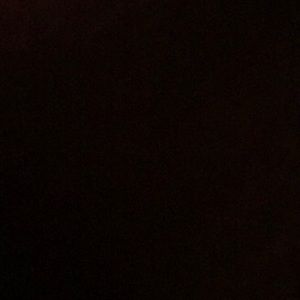 Meet your Posher, Dante